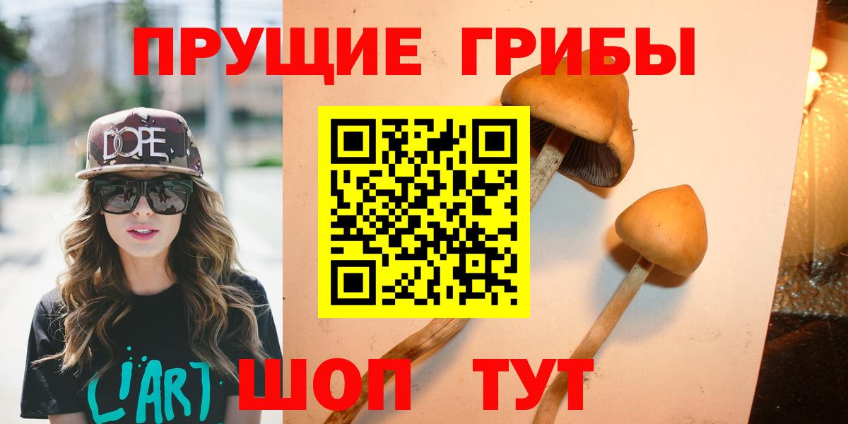 Балабаново  Галлюциногенные грибы Psilocybine cubensis  Псилоцибиновые грибы Psilocybine cubensis  Вход с VPN 