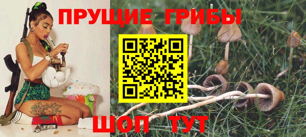 Галлюциногенные грибы Magic Shrooms Балабаново